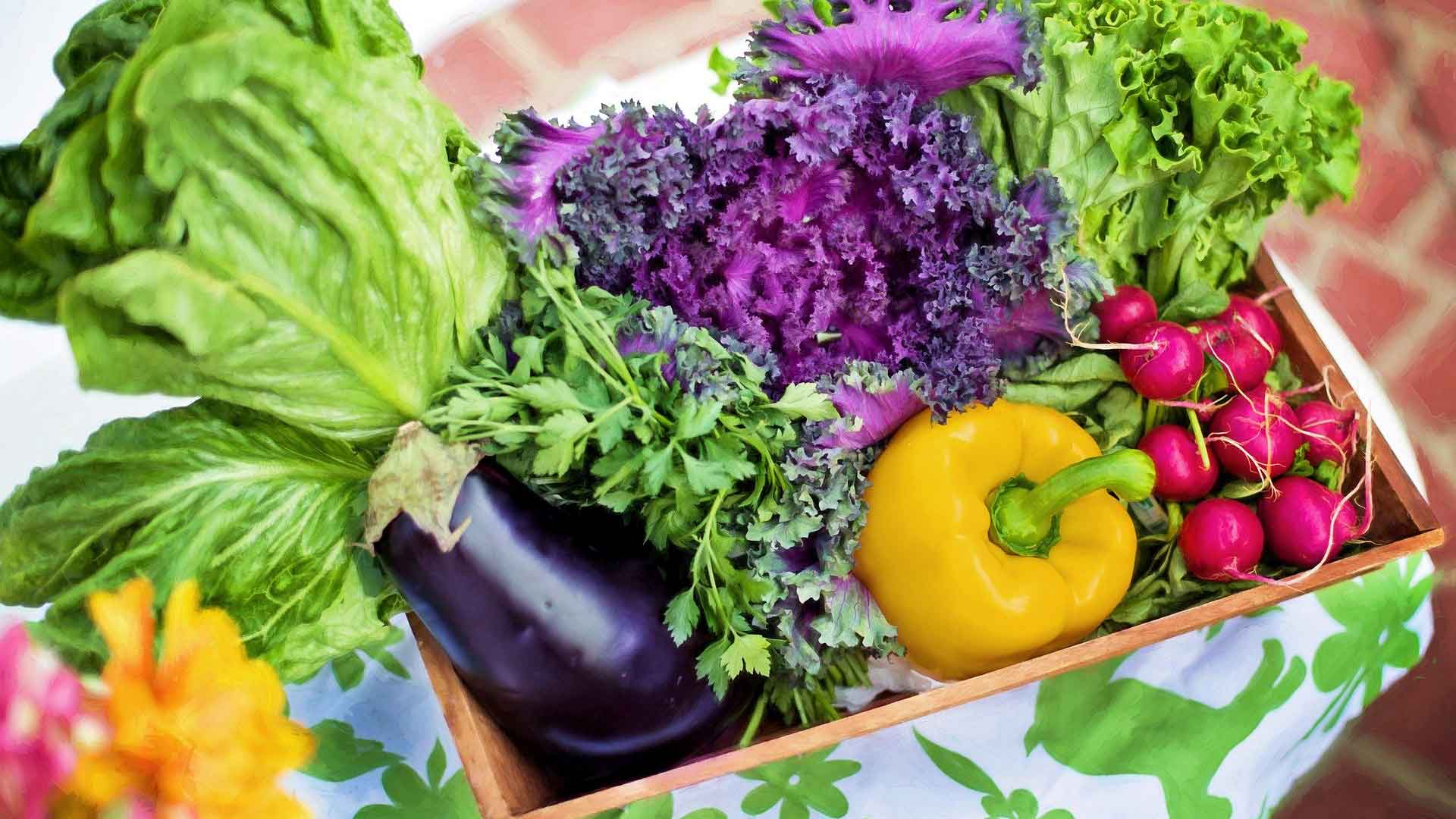 Projet Alimentaire Territorial départemental