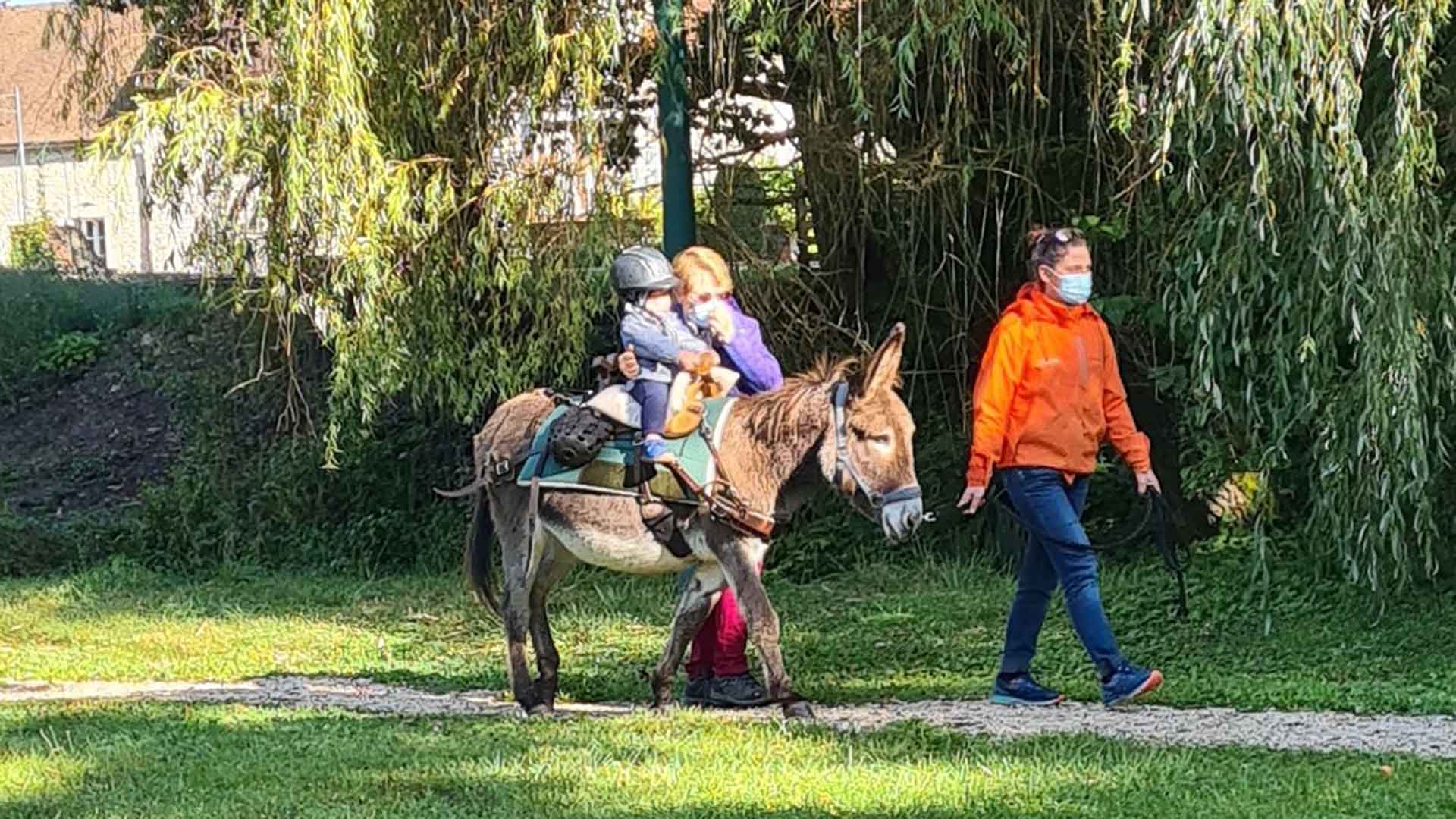 Balade sur un âne avec le Relais