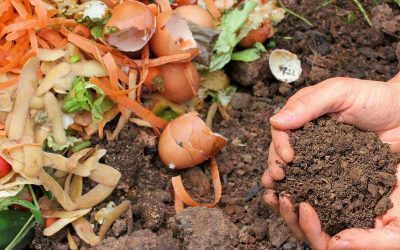 Les ateliers Zéro Déchet en Côte d’Or : Le compostage
