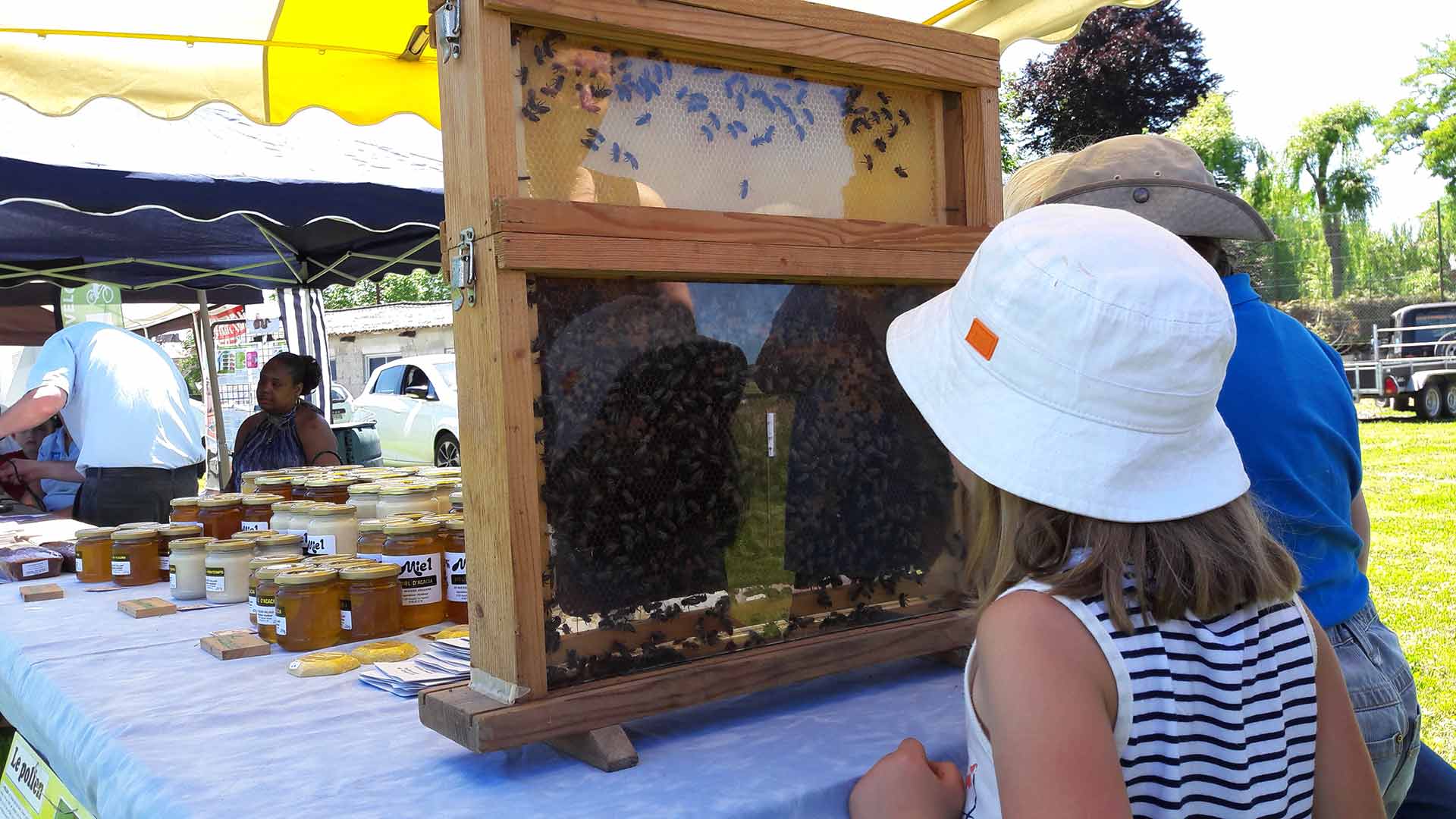 Festival de la nature et des loisirs de pleine nature