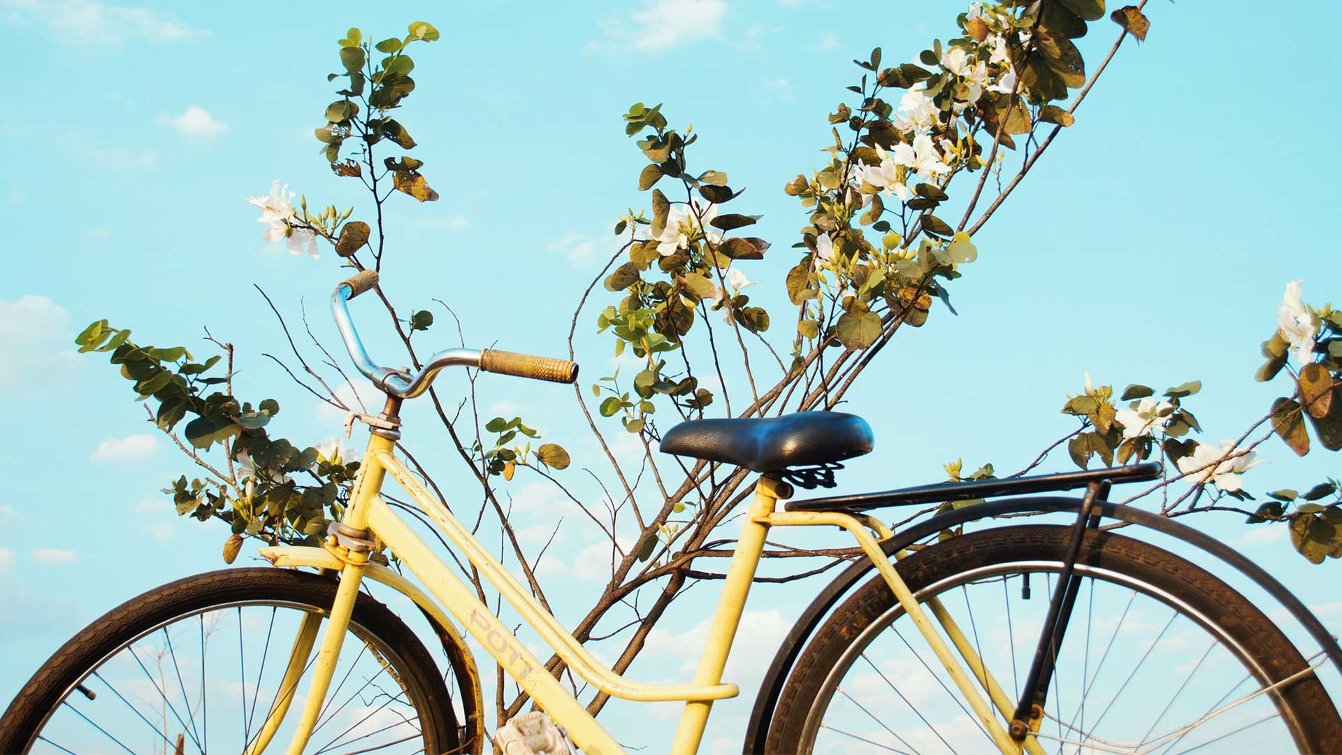 Illustration d'un vieux vélos dans la nature