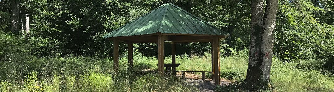 Bois royal de Pierre Saux, forêt aménagée de la Communauté de communes Pouilly Bligny