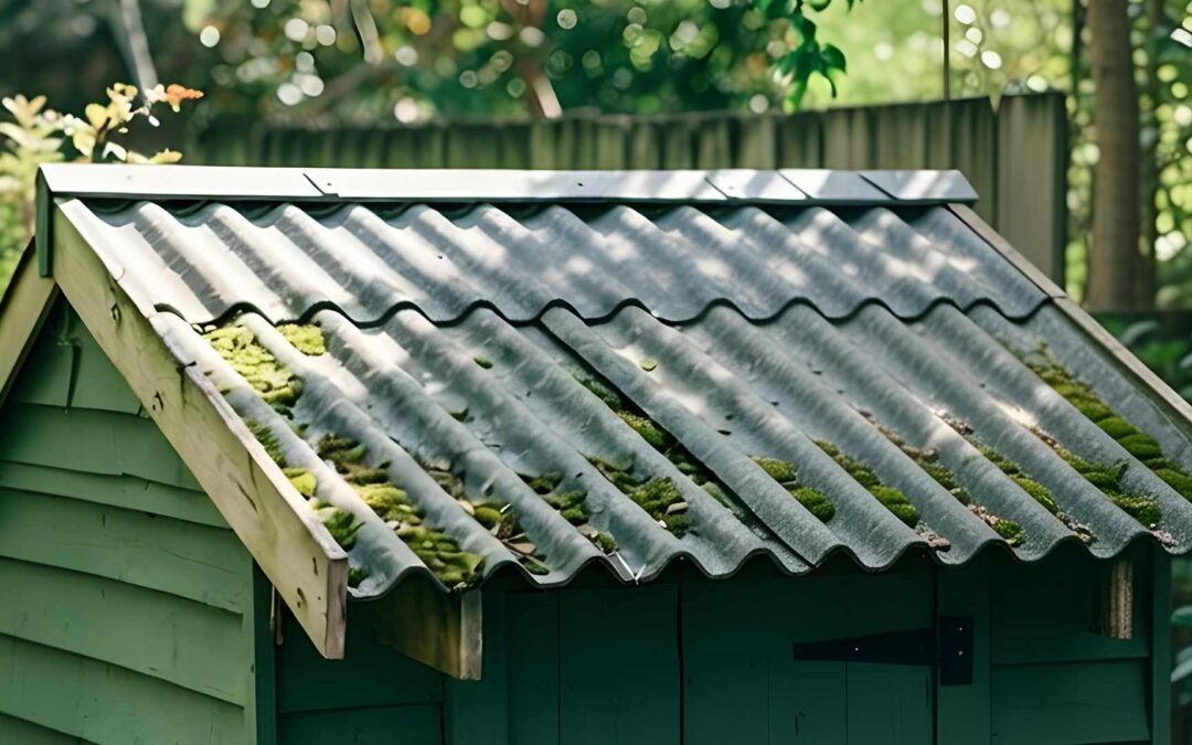 Photo d'un abri de jardin avec un toit en amiante-fibro-ciment